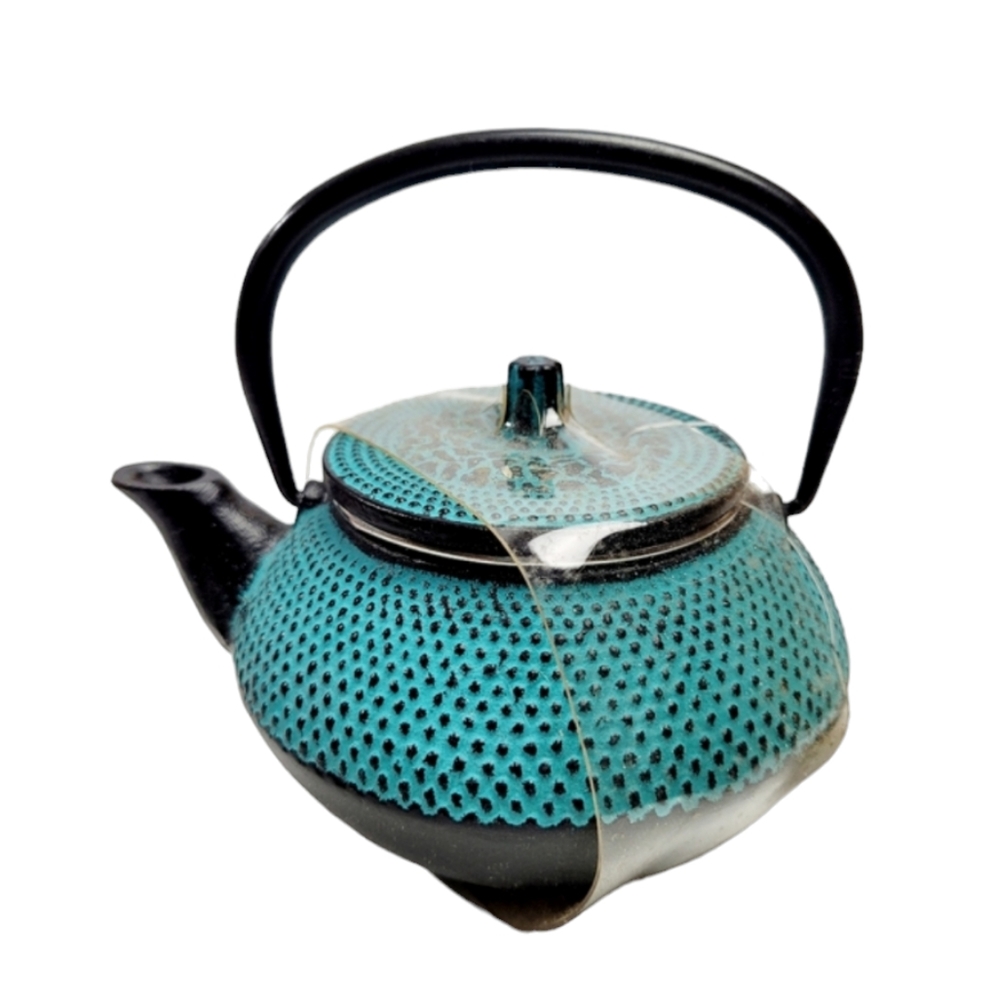 Tetsubin Vintage Turquoise Cast Iron Teapot
